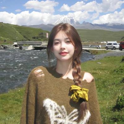圣女贞德 海报